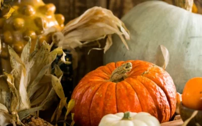 4 Fun American Thanksgiving Traditions