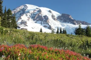 40 Amazing Experiences Around Seattle - Mount Rainier National Park