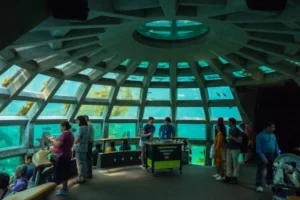 40 Amazing Experiences Around Seattle - Seattle Aquarium