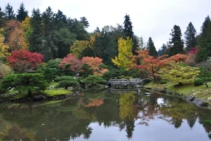 40 Amazing Experiences Around Seattle - Seattle Japanese Garden